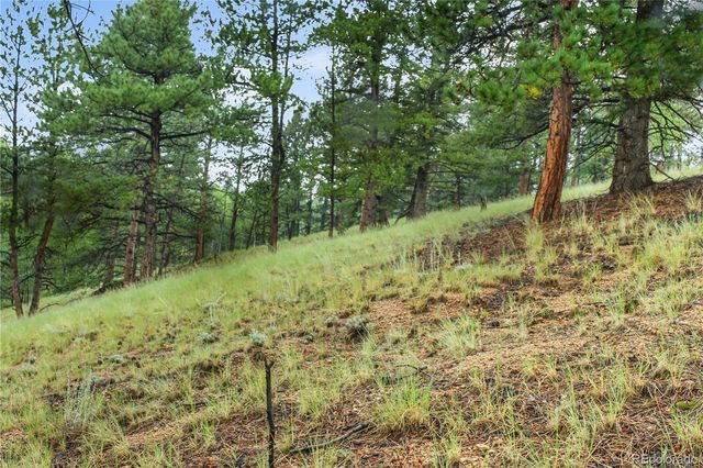 131 Lost Lake Circle, Divide, CO 80814