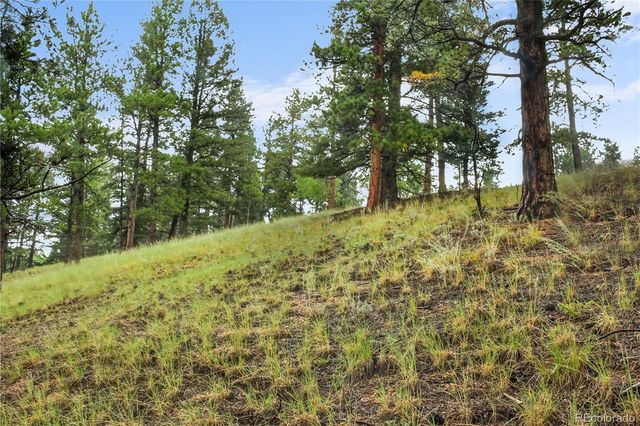131 Lost Lake Circle, Divide, CO 80814