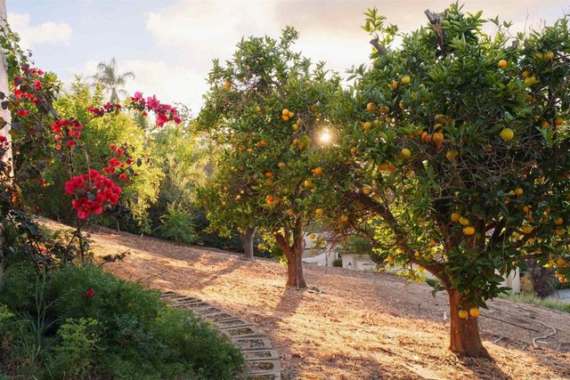 18136 Via Ascenso, Rancho Santa Fe, CA 92067