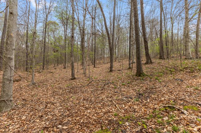 180 Hill Rd, Vanleer, TN 37181