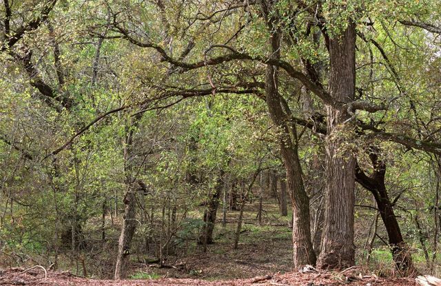 Tract 7, TBD County Road 3204, Abbott, TX 76621