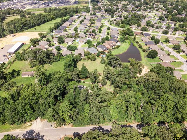 17924 CR 2332, Whitehouse, TX 75791
