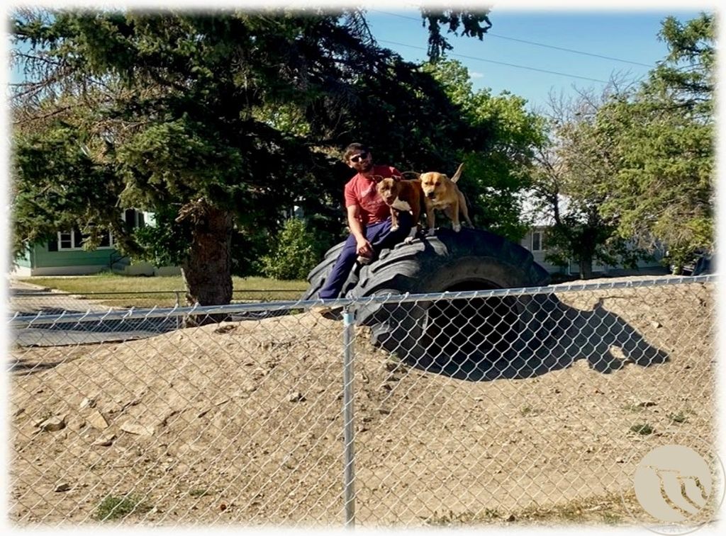 229 2nd Avenue SE, Other, MT 59427 photo 22
