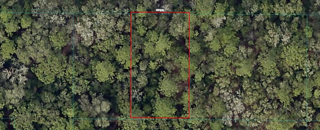 Lot 6 SW 11TH PLACE, Ocala, FL 34481