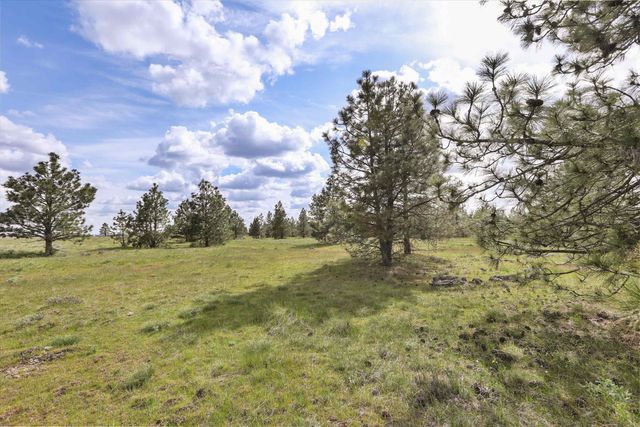 NKA Malloy Prairie Rd, Cheney, WA 99004