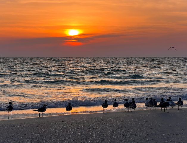 2330 N Ocean Boulevard, Boca Raton, FL 33431