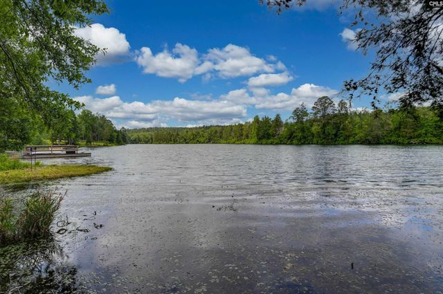 116 Living Waters Boulevard, Lexington, SC 29073
