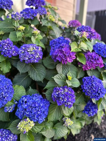 190 Kashmir St SE, Salem, OR 97306