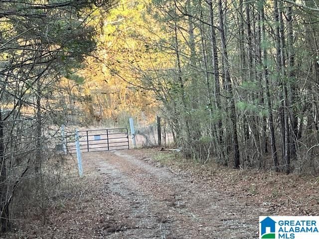 5490 JACKSON ROAD, Dora, AL 35062