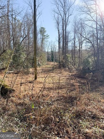 0 Highway 19 N, Dahlonega, GA 30533