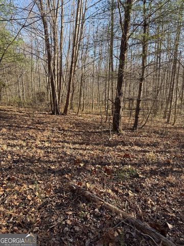 0 Highway 19 N, Dahlonega, GA 30533