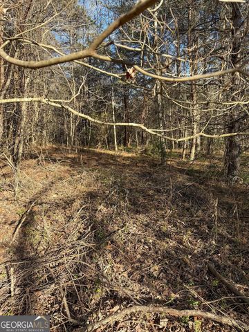 0 Highway 19 N, Dahlonega, GA 30533