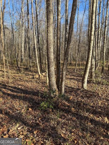 0 Highway 19 N, Dahlonega, GA 30533