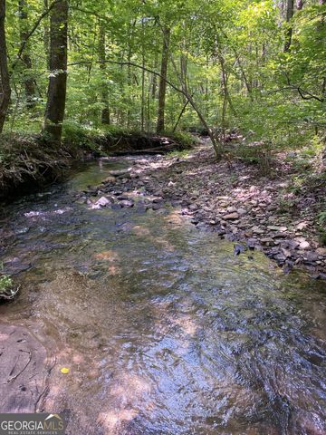 0 Highway 19 N, Dahlonega, GA 30533