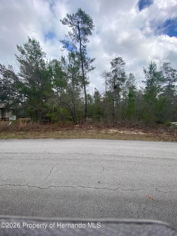 34 Tall Marigolds Court, Homosassa, FL 34446