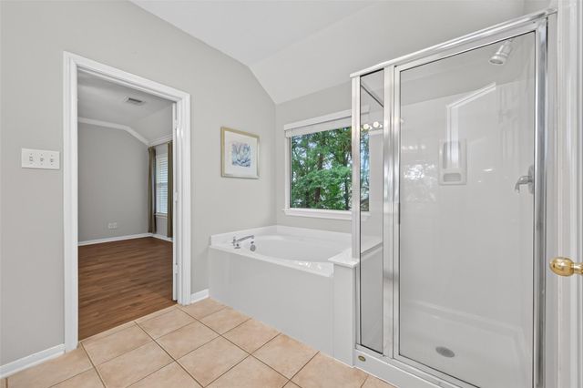 15 Bellisima Court, The Woodlands, TX 77384