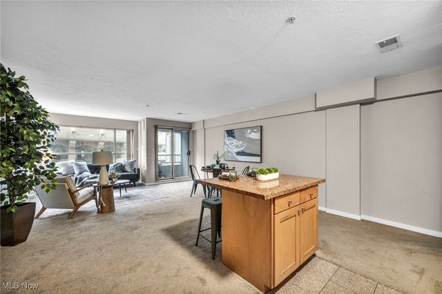 2222 Detroit Road 304, Cleveland, OH 44113