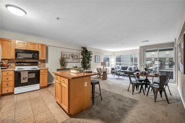 2222 Detroit Road 304, Cleveland, OH 44113