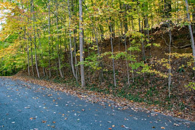 Lot 13 Skyline Drive, Bristol, TN 37620