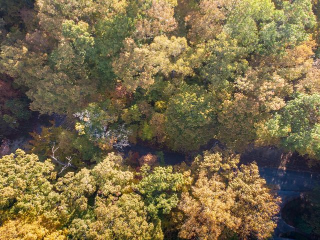 Lot 13 Skyline Drive, Bristol, TN 37620