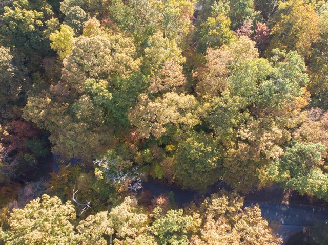 Lot 13 Skyline Drive, Bristol, TN 37620