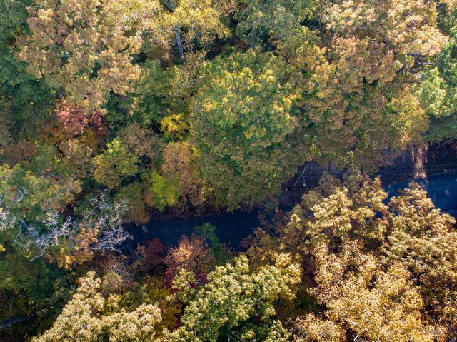 Lot 13 Skyline Drive, Bristol, TN 37620