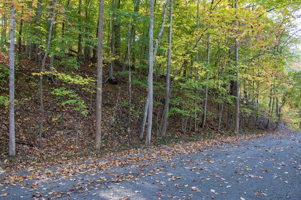 Lot 13 Skyline Drive, Bristol, TN 37620