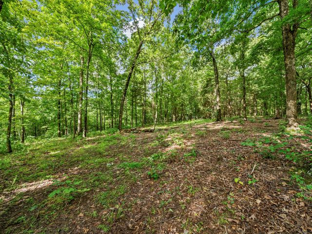 0 Old Highway 13, Cumberland City, TN 37050
