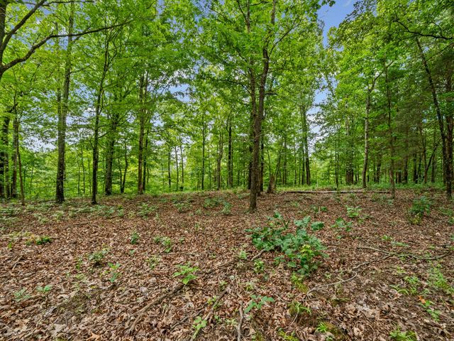 0 Old Highway 13, Cumberland City, TN 37050