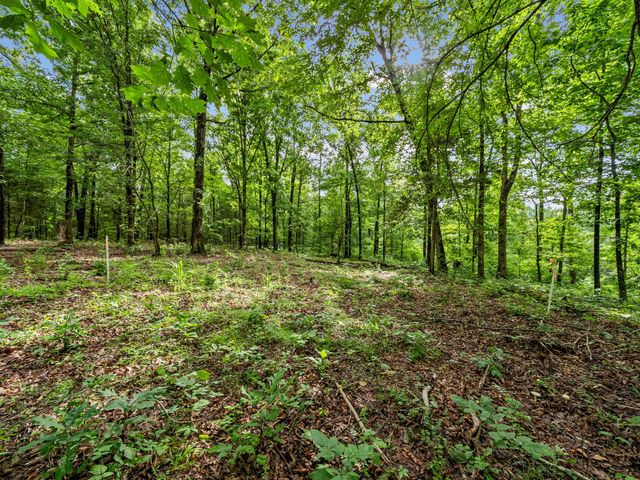 0 Old Highway 13, Cumberland City, TN 37050