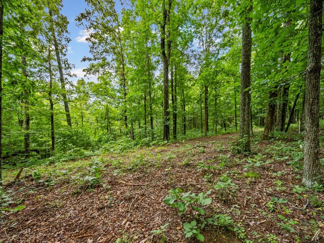 0 Old Highway 13, Cumberland City, TN 37050