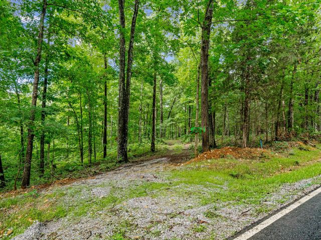 0 Old Highway 13, Cumberland City, TN 37050