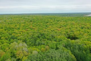 TBD Knopf Road, Holmesville Twp, MN 56578