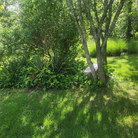 63 Tablerock Road, Evening Shade, AR 72532