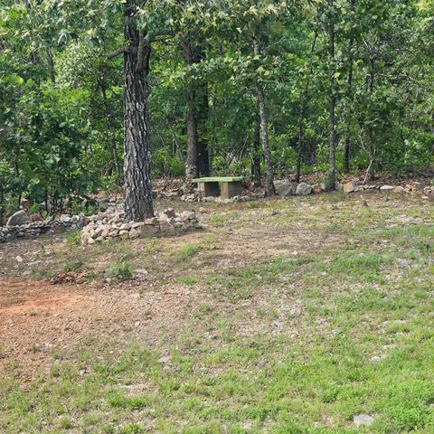 63 Tablerock Road, Evening Shade, AR 72532