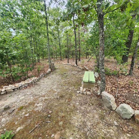 63 Tablerock Road, Evening Shade, AR 72532