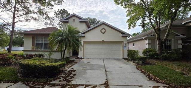 10906 TREE CACTUS LOOP, Land O Lakes, FL 34638