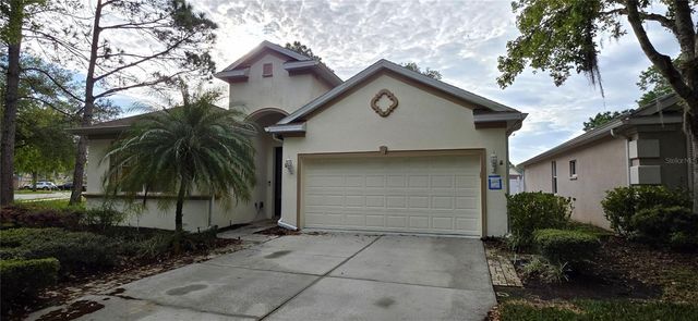 10906 TREE CACTUS LOOP, Land O Lakes, FL 34638