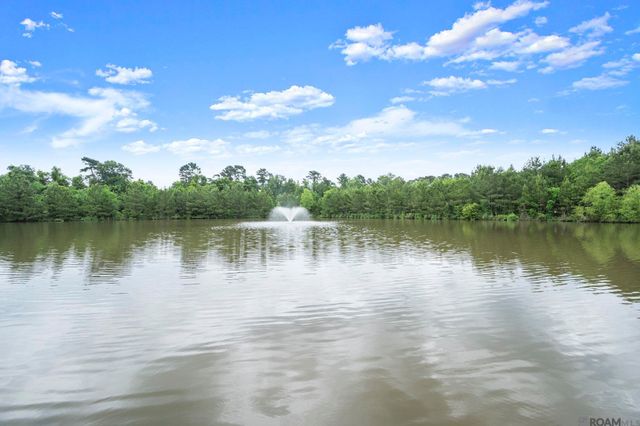 26229 Avoyelles Ave, Denham Springs, LA 70726
