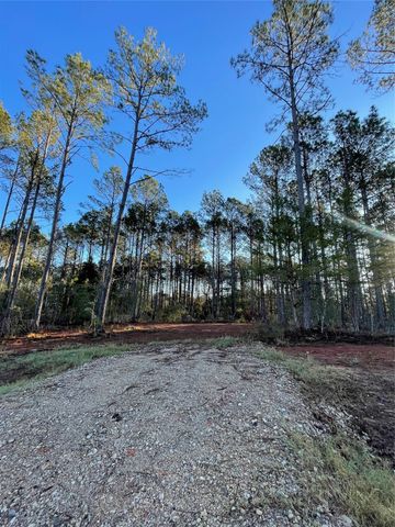 11350 Annie Creek Drive, Willis, TX 77378