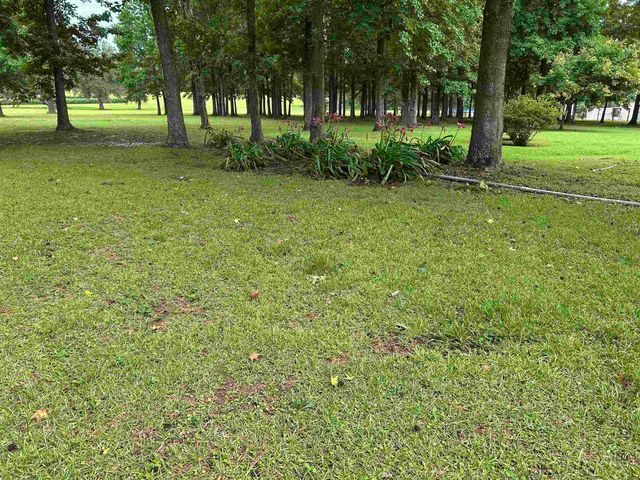 138 Bruce Road, Havana, FL 32333