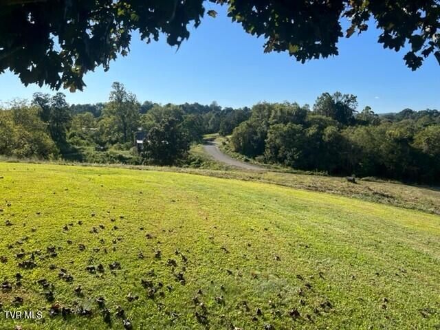 1704 Balls Chapel Road, Rose Hill, VA 24281