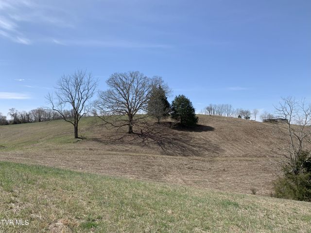 1704 Balls Chapel Road, Rose Hill, VA 24281