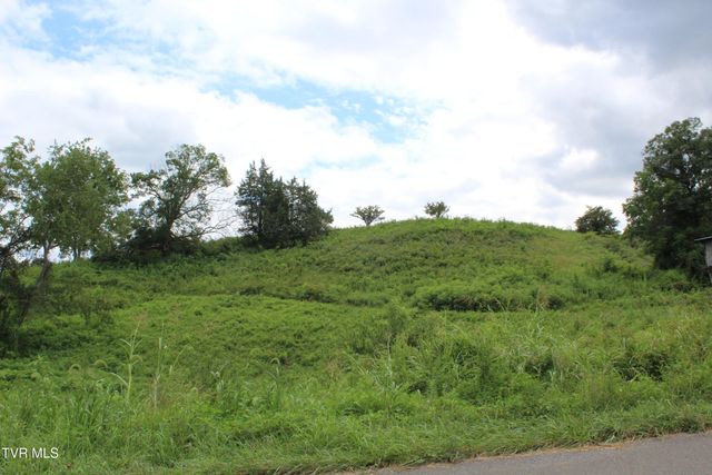 1704 Balls Chapel Road, Rose Hill, VA 24281