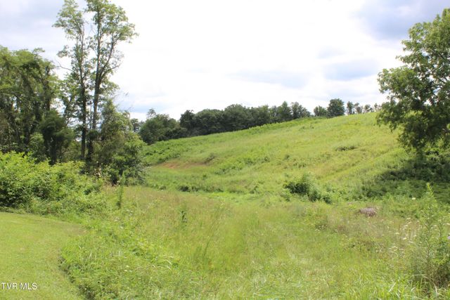 1704 Balls Chapel Road, Rose Hill, VA 24281