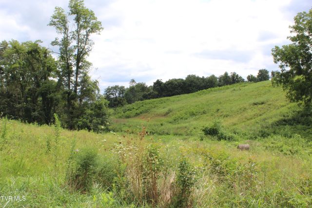 1704 Balls Chapel Road, Rose Hill, VA 24281