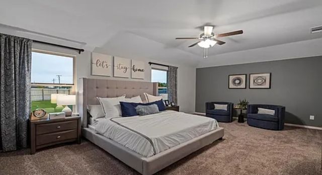 829 Loomis Trail, Justin, TX 76247