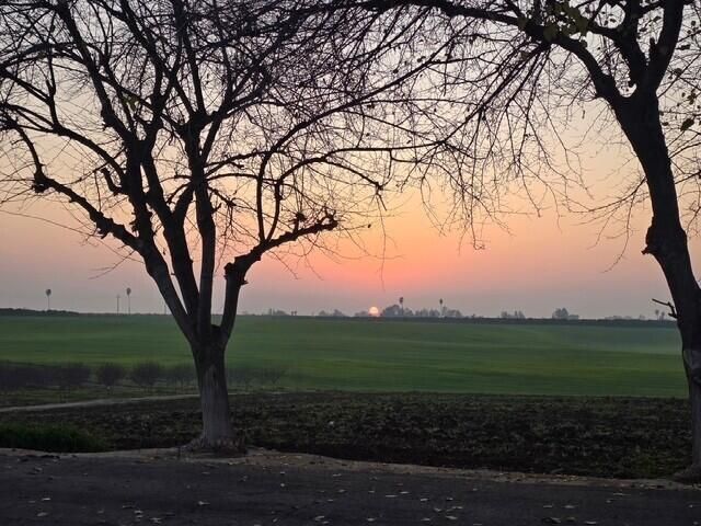 8924 Road 244, Terra Bella, CA 93270