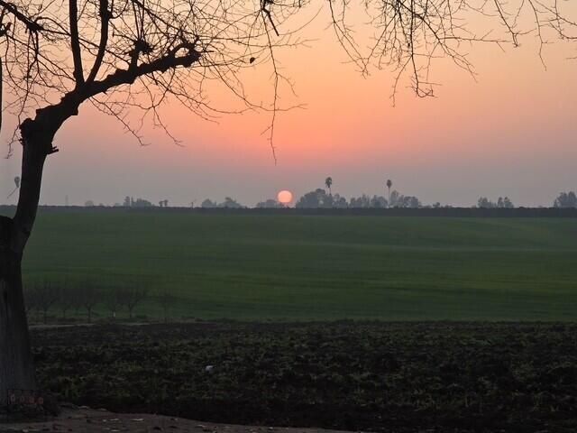 8924 Road 244, Terra Bella, CA 93270