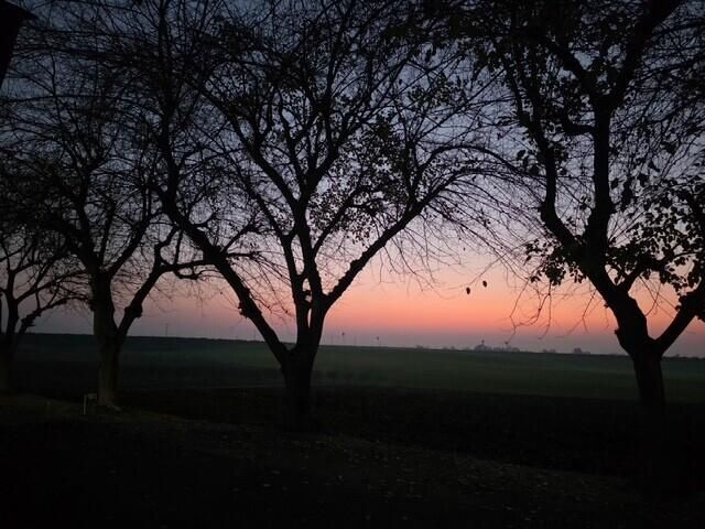 8924 Road 244, Terra Bella, CA 93270